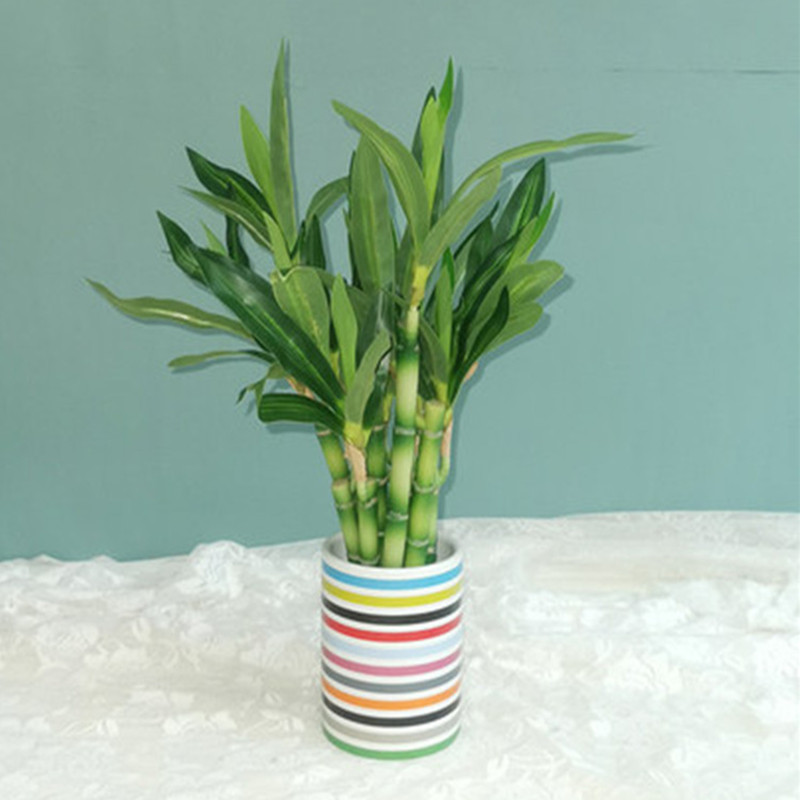 New 40cm rFtificial Lucky Bamb - Outdoor Furniture Green review and price