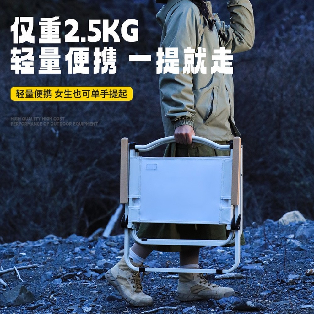 Portable Folding Camping Chair - Folding Picnic Table review and price