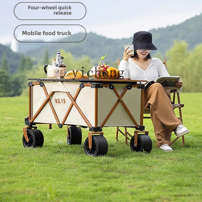 XL grazing camping cart foldin - Folding Picnic Table review and price