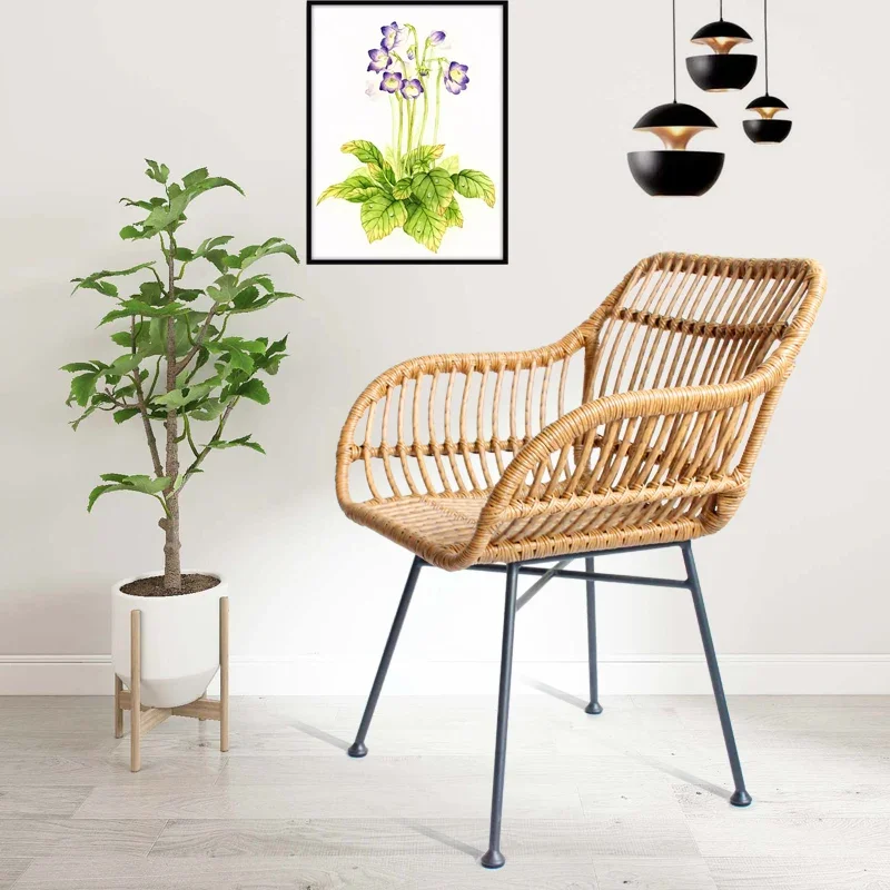 Nordic Dining Chairs for Kitch - Outdoor Furniture Kitchener review and price
