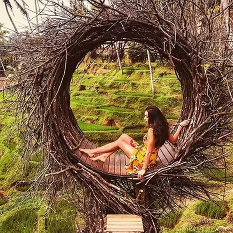 Swing Outdoor Bali Scenic Hang - Outdoor Furniture In Bali review and price